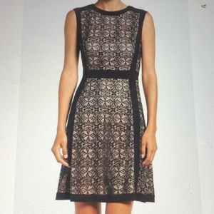 Adrianna Papell Classy💕Fit & Flare